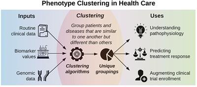 Phenotype clustering in health care: A narrative review for clinicians